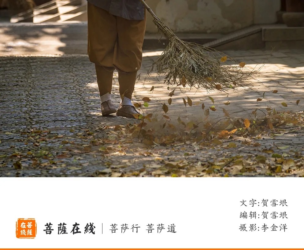 摄影-关门闭寺百余天,各大寺院僧众实修生活集锦 摄影-关门闭寺百余天,各大寺院僧众实修生活集锦