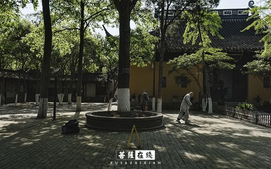 摄影-关门闭寺百余天,各大寺院僧众实修生活集锦 摄影-关门闭寺百余天,各大寺院僧众实修生活集锦