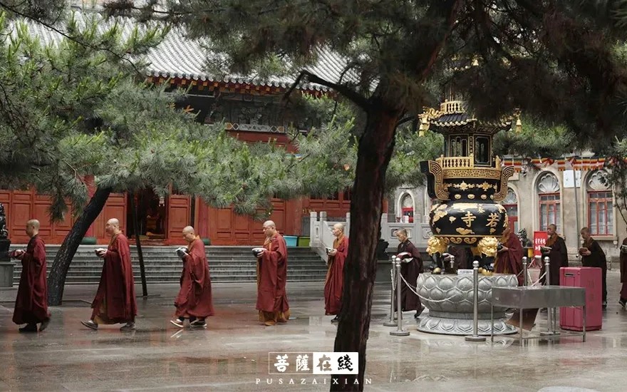 摄影-关门闭寺百余天,各大寺院僧众实修生活集锦 摄影-关门闭寺百余天,各大寺院僧众实修生活集锦