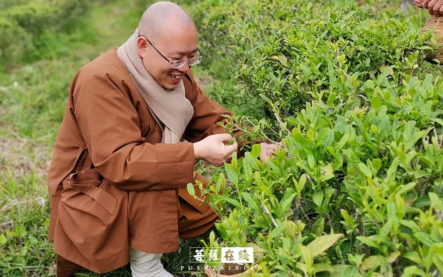 摄影-关门闭寺百余天,各大寺院僧众实修生活集锦 摄影-关门闭寺百余天,各大寺院僧众实修生活集锦