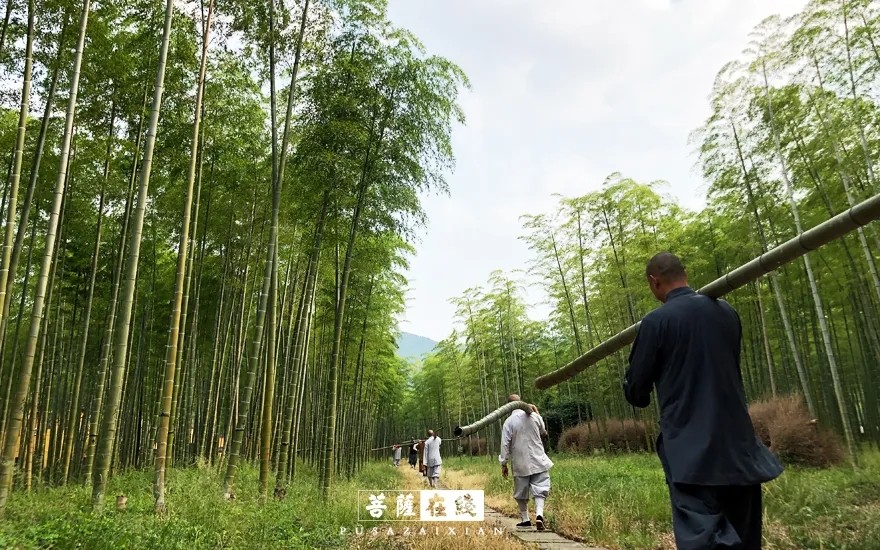 摄影-关门闭寺百余天,各大寺院僧众实修生活集锦 摄影-关门闭寺百余天,各大寺院僧众实修生活集锦