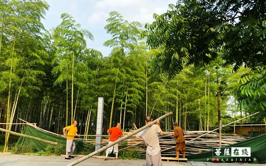 摄影-关门闭寺百余天,各大寺院僧众实修生活集锦 摄影-关门闭寺百余天,各大寺院僧众实修生活集锦