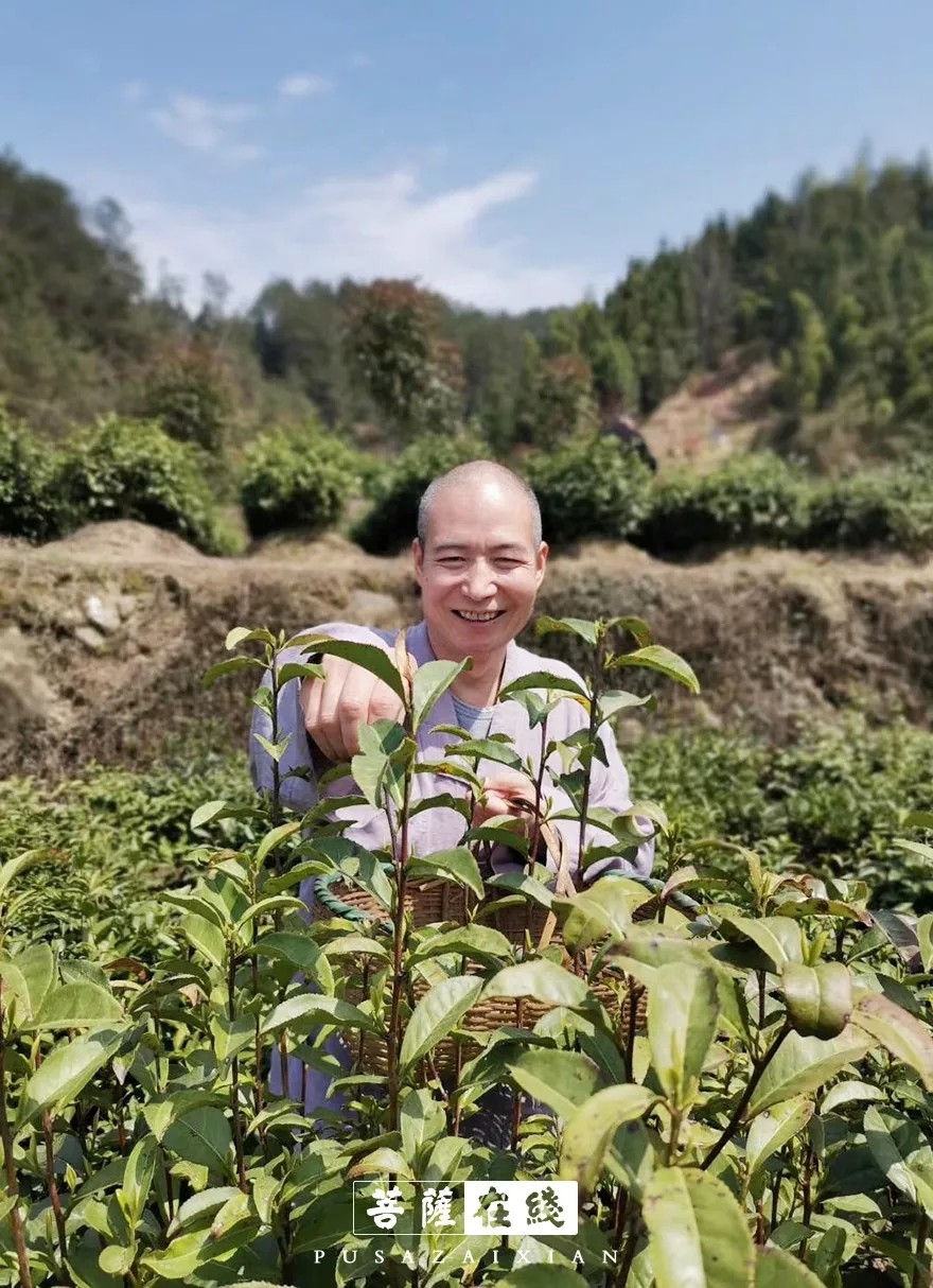 摄影-关门闭寺百余天,各大寺院僧众实修生活集锦 摄影-关门闭寺百余天,各大寺院僧众实修生活集锦