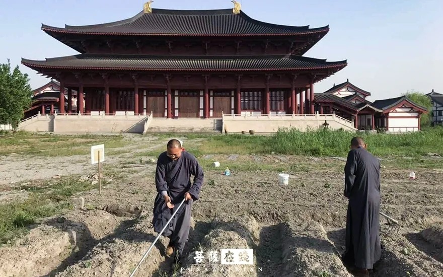 摄影-关门闭寺百余天,各大寺院僧众实修生活集锦 摄影-关门闭寺百余天,各大寺院僧众实修生活集锦