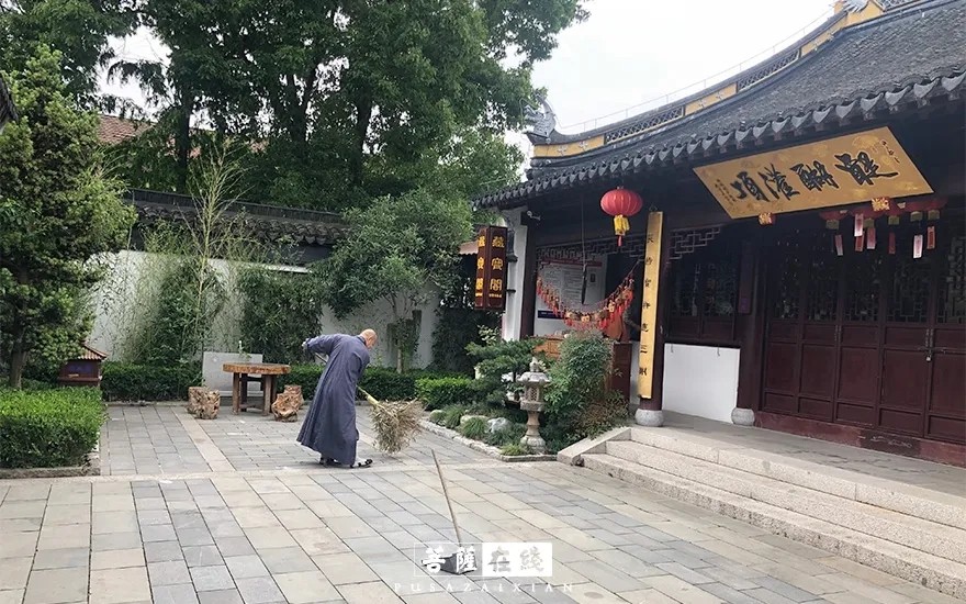 關門閉寺百餘天各大寺院僧眾實修生活集錦