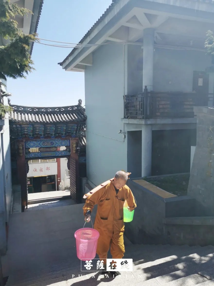摄影-关门闭寺百余天,各大寺院僧众实修生活集锦 摄影-关门闭寺百余天,各大寺院僧众实修生活集锦
