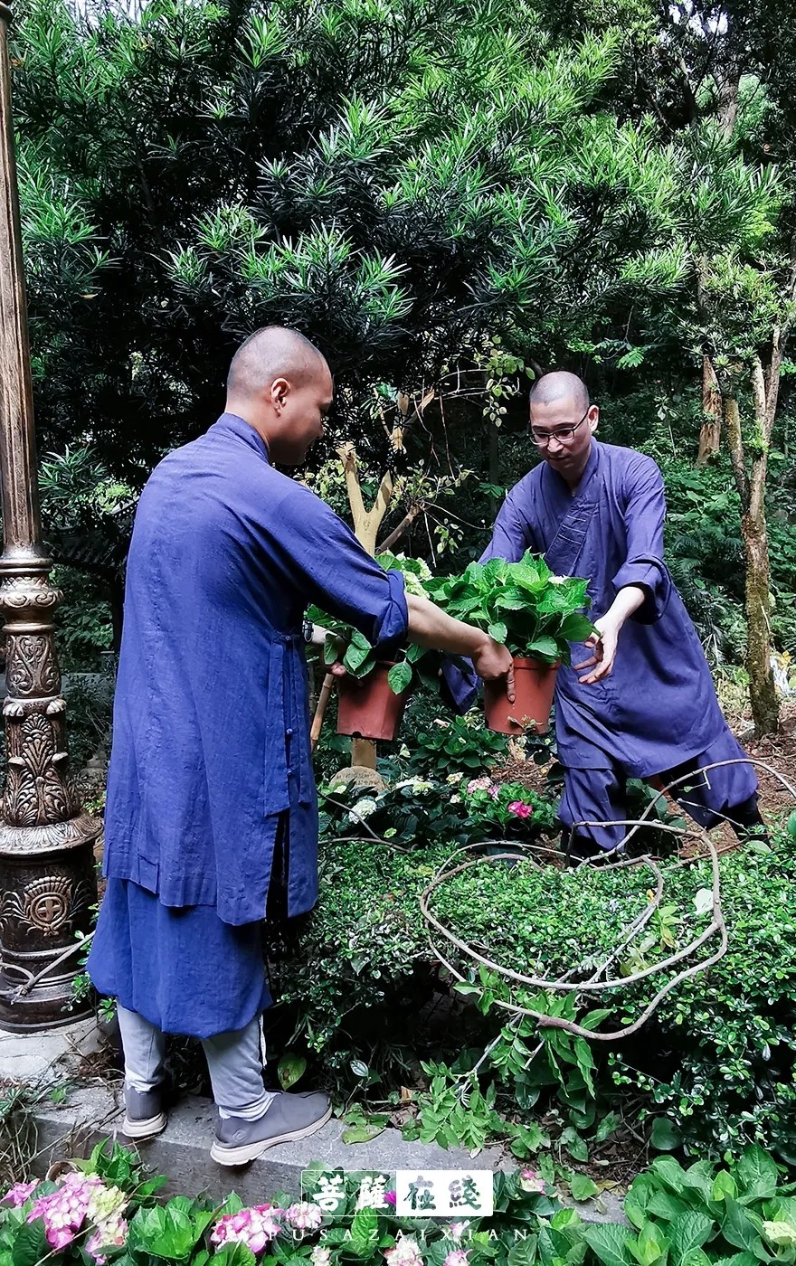 摄影-关门闭寺百余天,各大寺院僧众实修生活集锦 摄影-关门闭寺百余天,各大寺院僧众实修生活集锦