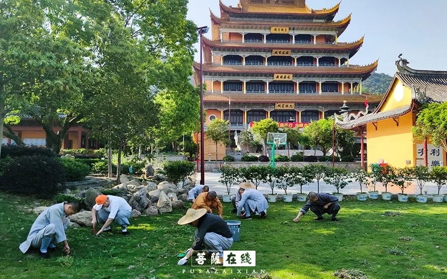 摄影-关门闭寺百余天,各大寺院僧众实修生活集锦 摄影-关门闭寺百余天,各大寺院僧众实修生活集锦