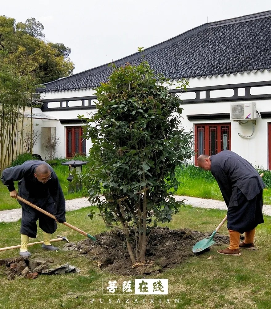 摄影-关门闭寺百余天,各大寺院僧众实修生活集锦 摄影-关门闭寺百余天,各大寺院僧众实修生活集锦