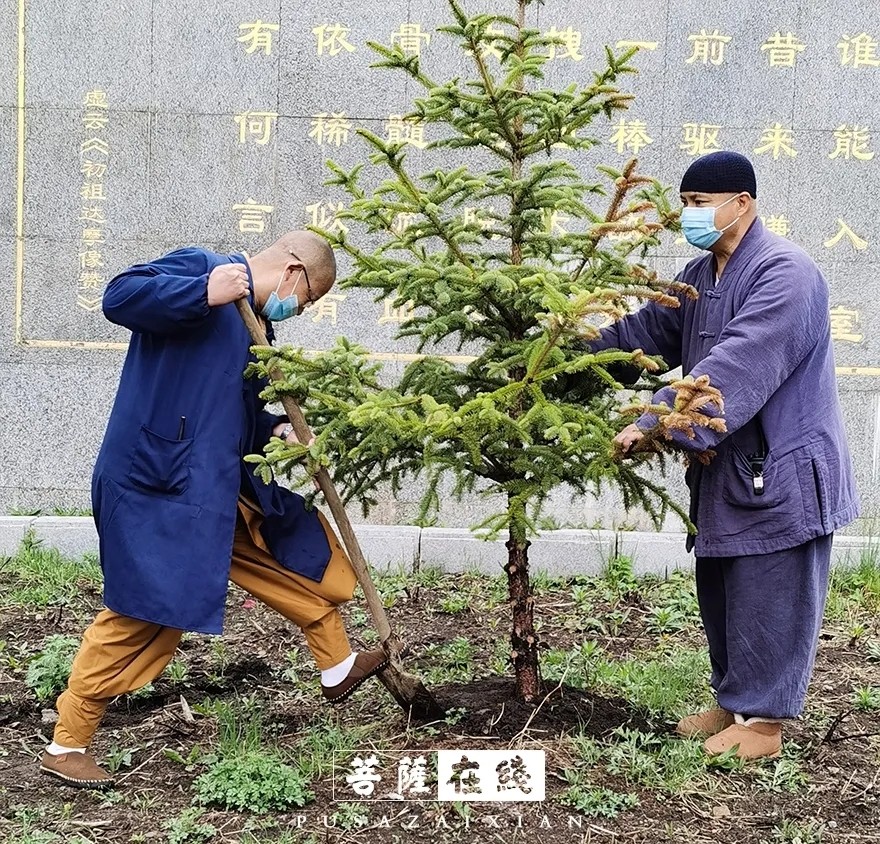 摄影-关门闭寺百余天,各大寺院僧众实修生活集锦 摄影-关门闭寺百余天,各大寺院僧众实修生活集锦