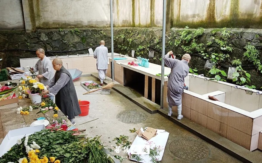 摄影-关门闭寺百余天,各大寺院僧众实修生活集锦 摄影-关门闭寺百余天,各大寺院僧众实修生活集锦