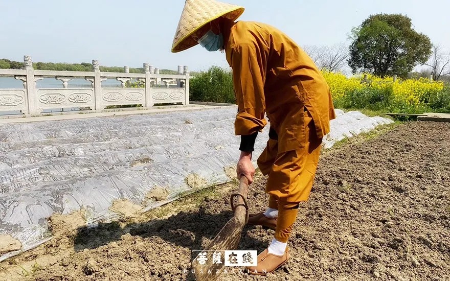 摄影-关门闭寺百余天,各大寺院僧众实修生活集锦 摄影-关门闭寺百余天,各大寺院僧众实修生活集锦