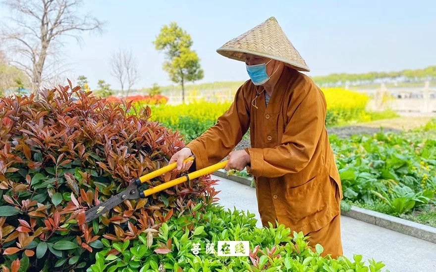 摄影-关门闭寺百余天,各大寺院僧众实修生活集锦 摄影-关门闭寺百余天,各大寺院僧众实修生活集锦