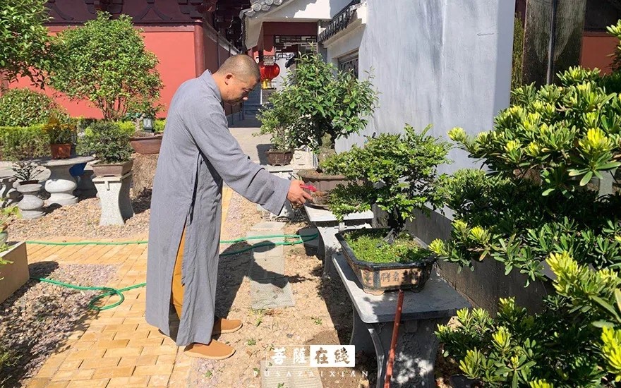 摄影-关门闭寺百余天,各大寺院僧众实修生活集锦 摄影-关门闭寺百余天,各大寺院僧众实修生活集锦