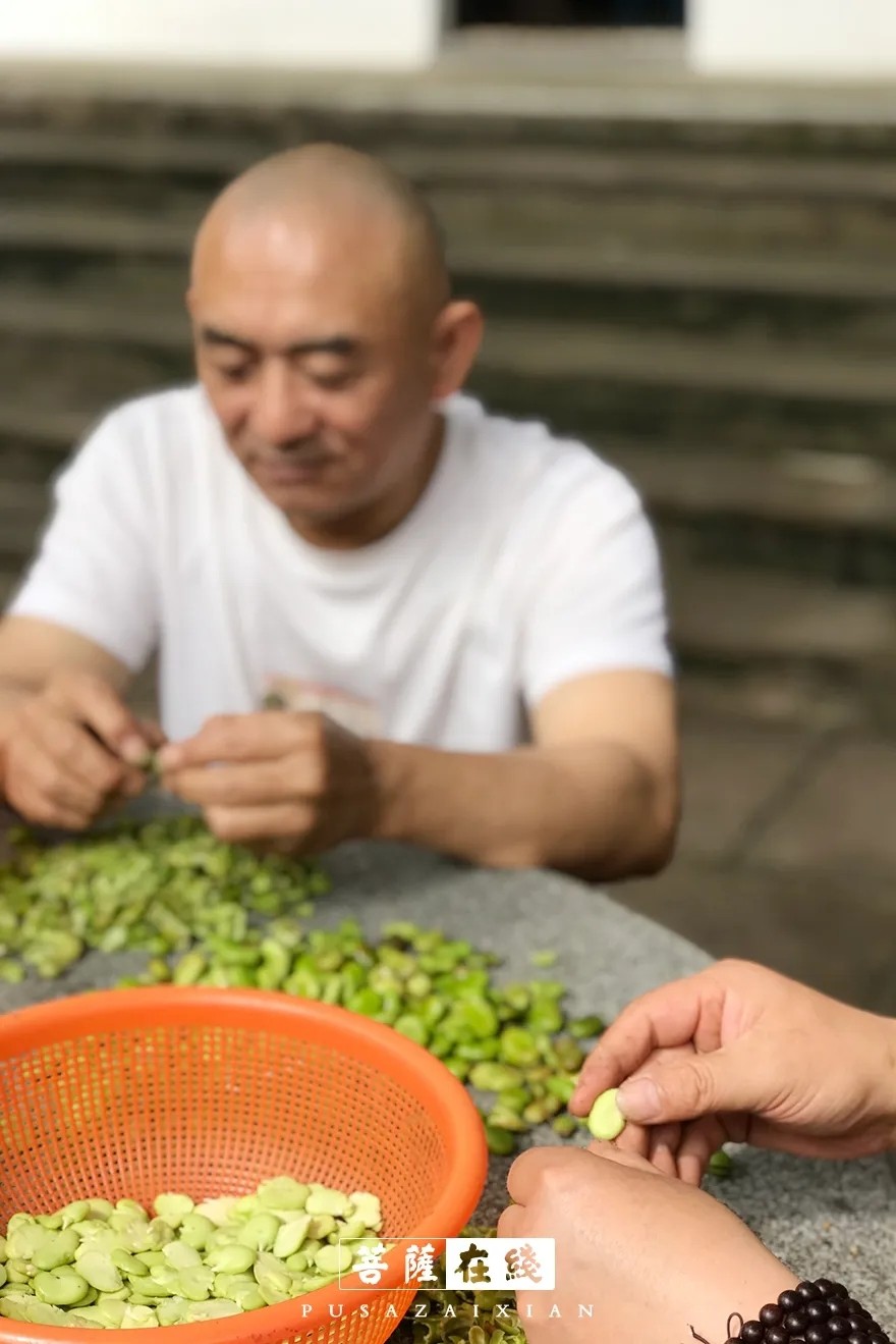 摄影-关门闭寺百余天,各大寺院僧众实修生活集锦 摄影-关门闭寺百余天,各大寺院僧众实修生活集锦