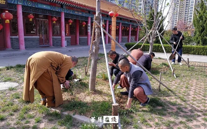 摄影-关门闭寺百余天,各大寺院僧众实修生活集锦 摄影-关门闭寺百余天,各大寺院僧众实修生活集锦