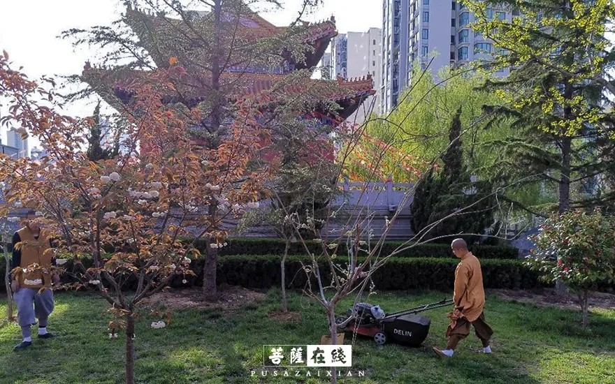 摄影-关门闭寺百余天,各大寺院僧众实修生活集锦 摄影-关门闭寺百余天,各大寺院僧众实修生活集锦