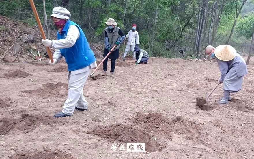 摄影-关门闭寺百余天,各大寺院僧众实修生活集锦 摄影-关门闭寺百余天,各大寺院僧众实修生活集锦