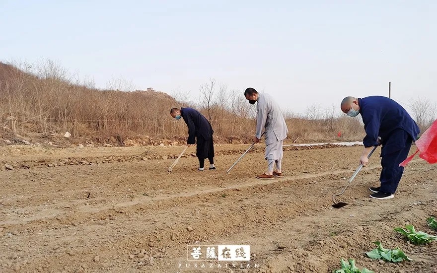 摄影-关门闭寺百余天,各大寺院僧众实修生活集锦 摄影-关门闭寺百余天,各大寺院僧众实修生活集锦