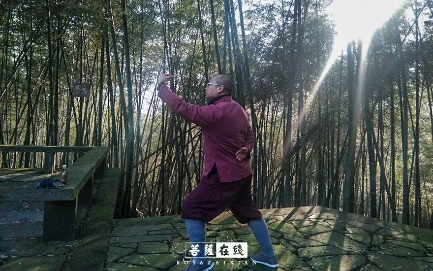 摄影-关门闭寺百余天,各大寺院僧众实修生活集锦 摄影-关门闭寺百余天,各大寺院僧众实修生活集锦