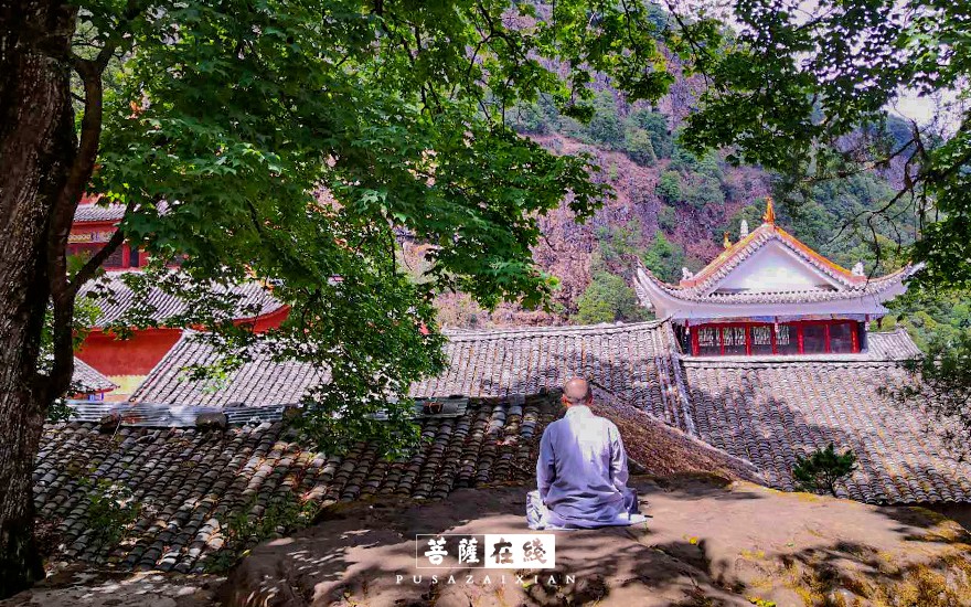 摄影-关门闭寺百余天,各大寺院僧众实修生活集锦 摄影-关门闭寺百余天,各大寺院僧众实修生活集锦