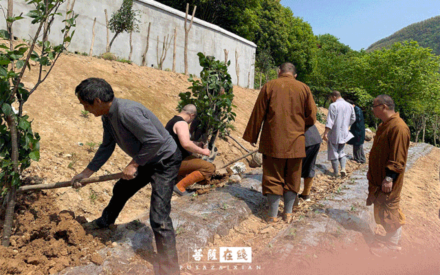 摄影-关门闭寺百余天,各大寺院僧众实修生活集锦 摄影-关门闭寺百余天,各大寺院僧众实修生活集锦