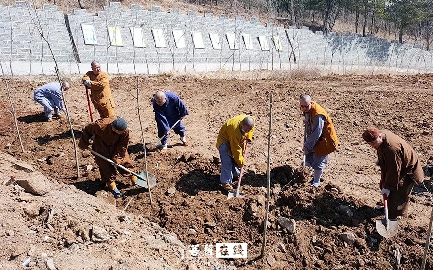 摄影-关门闭寺百余天,各大寺院僧众实修生活集锦 摄影-关门闭寺百余天,各大寺院僧众实修生活集锦