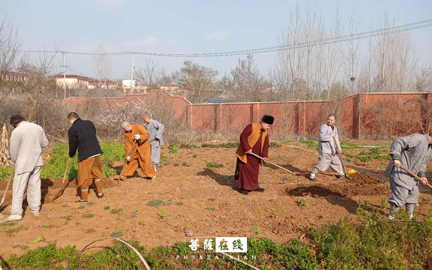 摄影-关门闭寺百余天,各大寺院僧众实修生活集锦 摄影-关门闭寺百余天,各大寺院僧众实修生活集锦