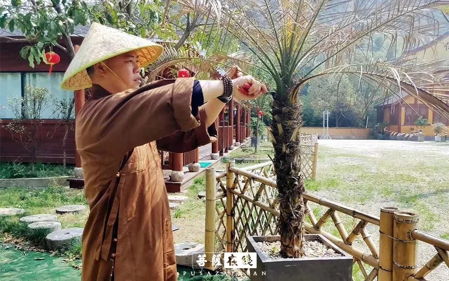 摄影-关门闭寺百余天,各大寺院僧众实修生活集锦 摄影-关门闭寺百余天,各大寺院僧众实修生活集锦
