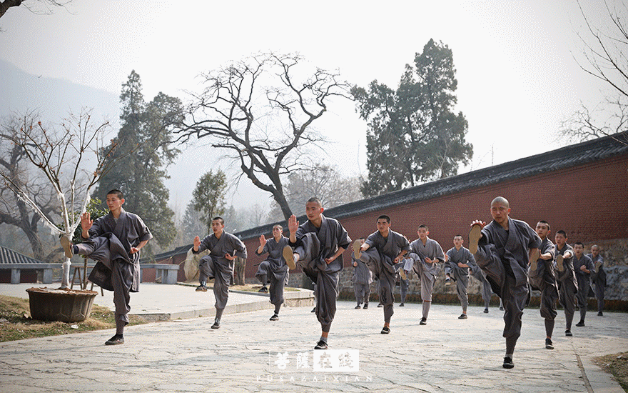 摄影-关门闭寺百余天,各大寺院僧众实修生活集锦 摄影-关门闭寺百余天,各大寺院僧众实修生活集锦