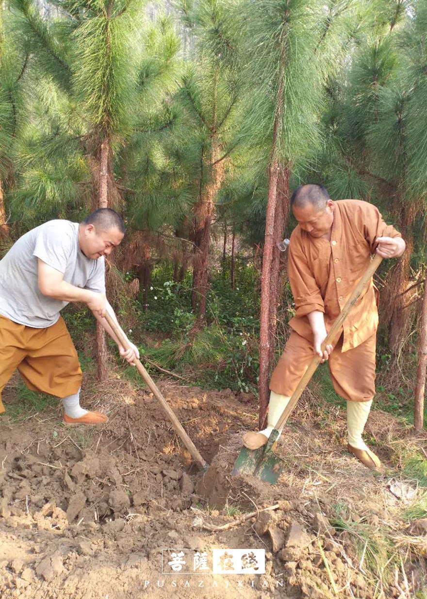 摄影-关门闭寺百余天,各大寺院僧众实修生活集锦 摄影-关门闭寺百余天,各大寺院僧众实修生活集锦