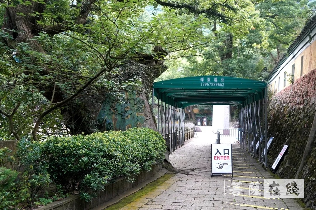 宁波-宁波天童禅寺为恢复开放做好筹备工作