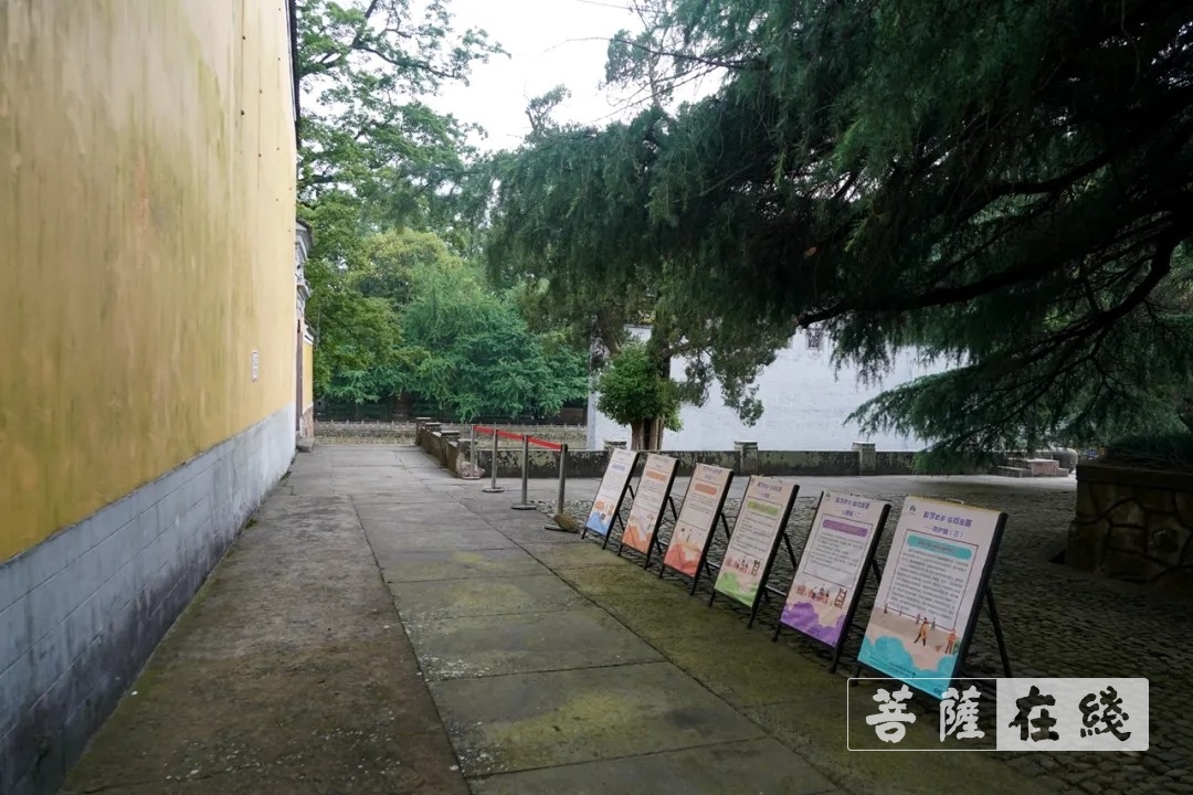 宁波-宁波天童禅寺为恢复开放做好筹备工作