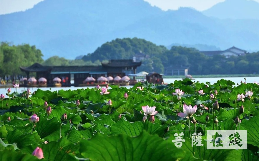 杭州-杭州市疫控办关于宗教活动场所逐步有序恢复开放的情况通告