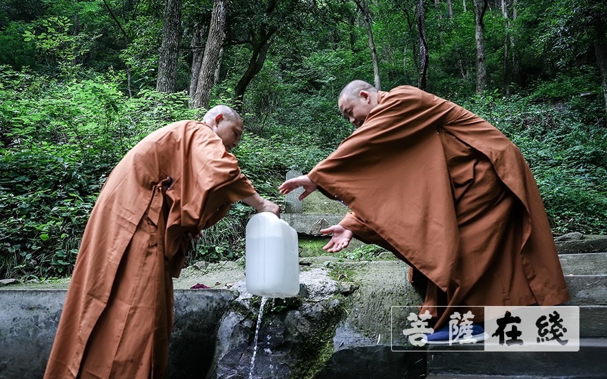 佛教-浙江省嵊州市常乐寺和新昌县平顶寺僧众组织学习