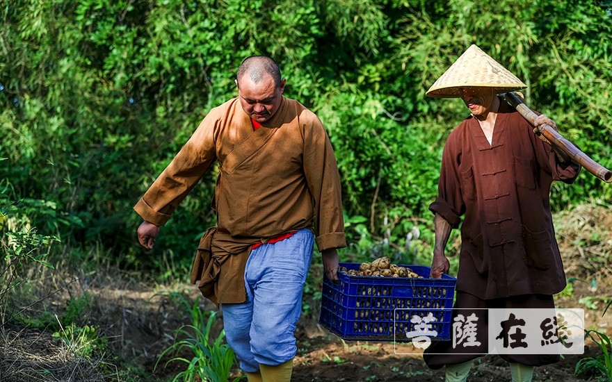 佛教-浙江省嵊州市常乐寺和新昌县平顶寺僧众组织学习