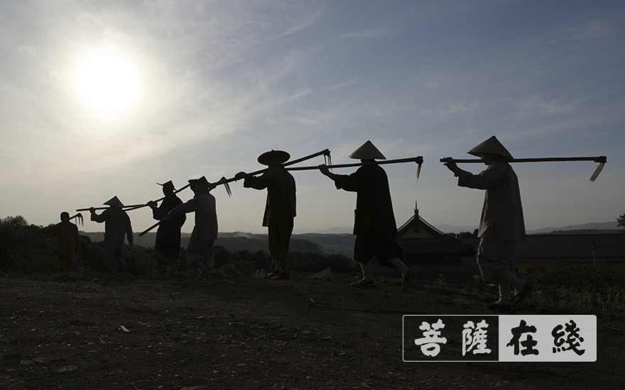 佛教-浙江省嵊州市常乐寺和新昌县平顶寺僧众组织学习
