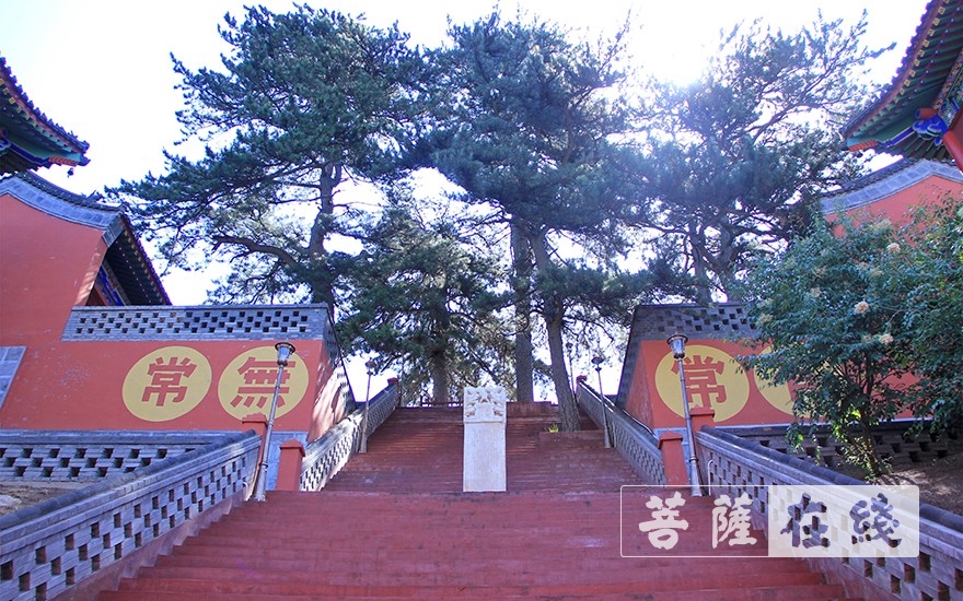 于清凉圣地闻飒飒松风五台山宝光禅寺
