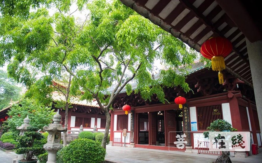 走进光孝寺丨第七期：诃林留香（中英双语）