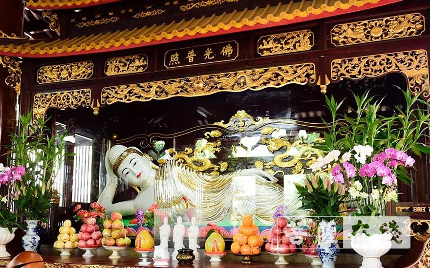 走进光孝寺丨第七期：诃林留香（中英双语）