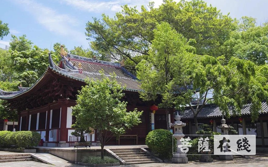 走进光孝寺丨第七期：诃林留香（中英双语）