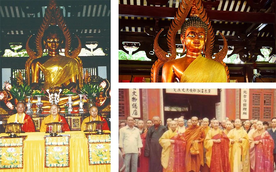 走进光孝寺丨第七期：诃林留香（中英双语）