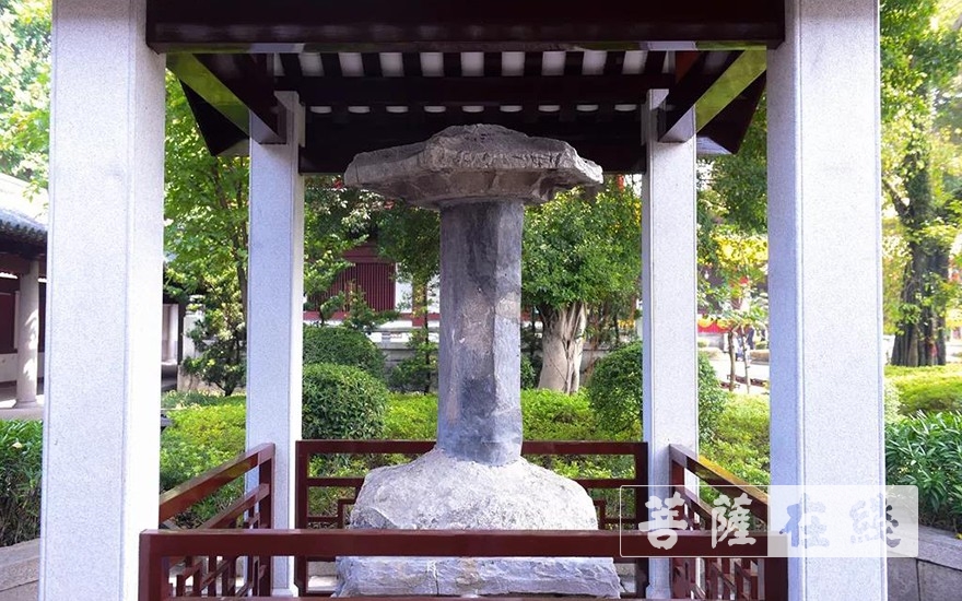 走进光孝寺丨第七期：诃林留香（中英双语）