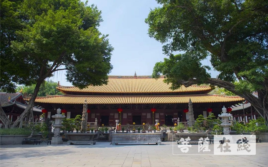 走进光孝寺丨第七期：诃林留香（中英双语）