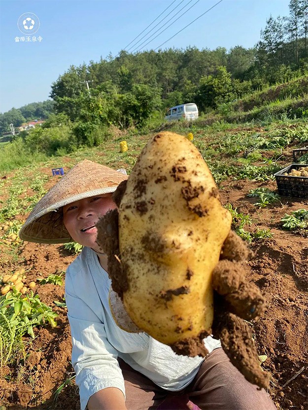 人间烟火气，最抚凡人心