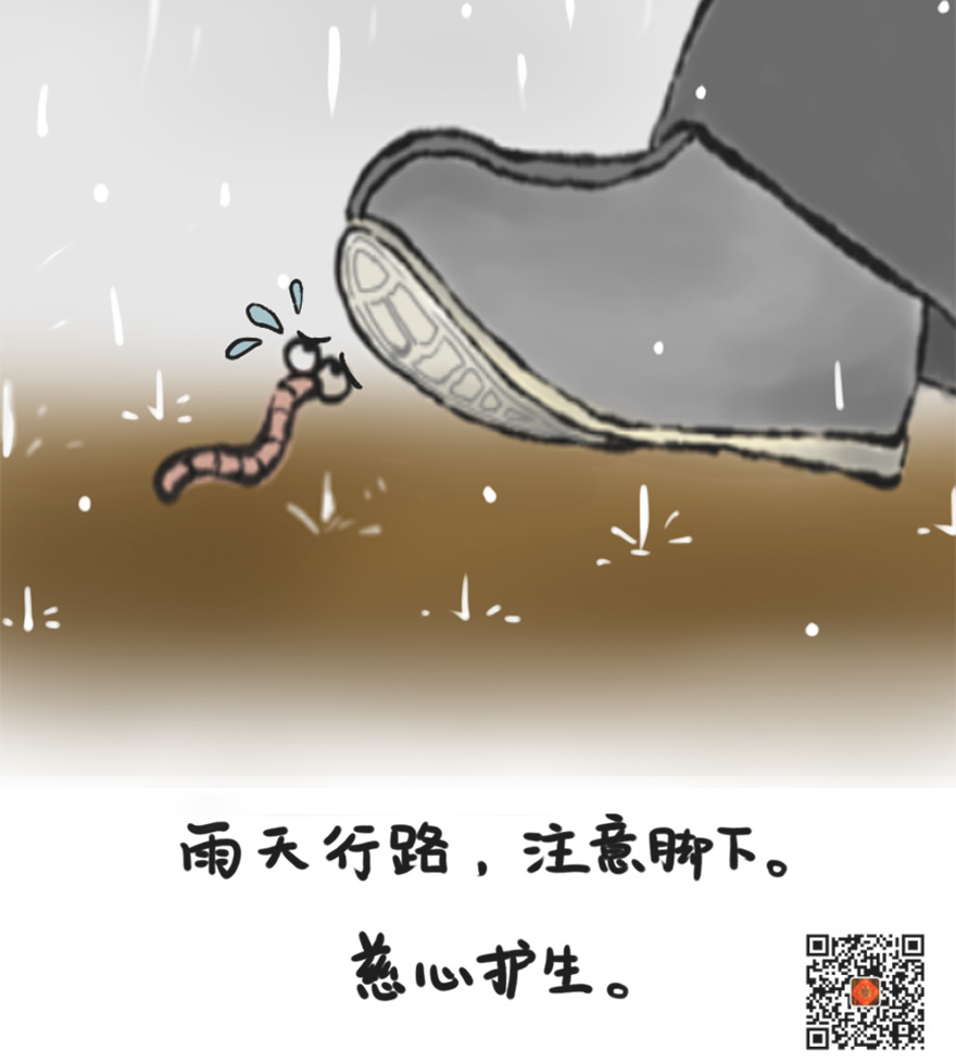 曹山动漫——禅趣 · 端午