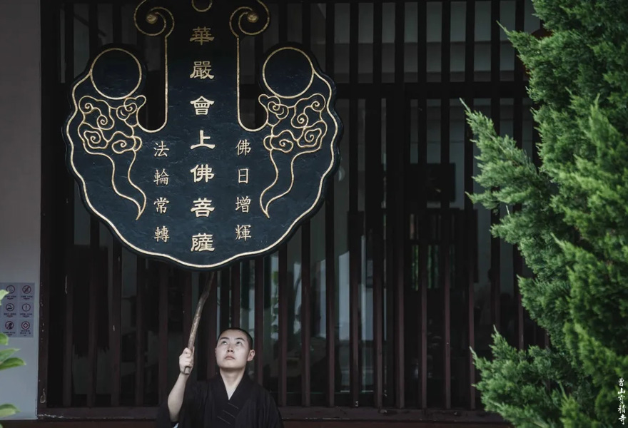 莲花-曹山赏莲：看取莲花净，应知不染心