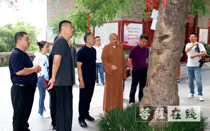 佛教-江苏省委统战部调研组赴徐州兴化禅寺调研