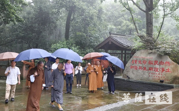 佛教-浙江省佛教协会副会长光泉大和尚一行赴北天目灵峰讲寺调研
