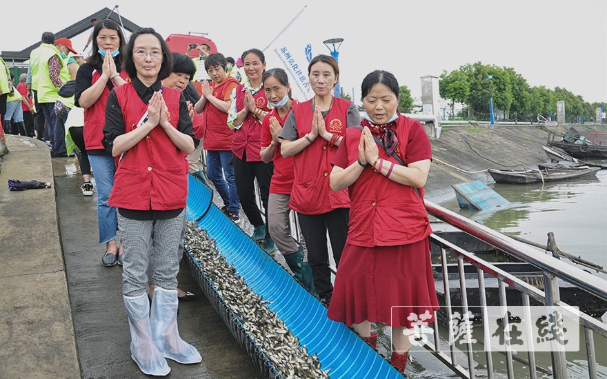 长江-泰兴市庆云慈善会再次开展长江生态放流活动